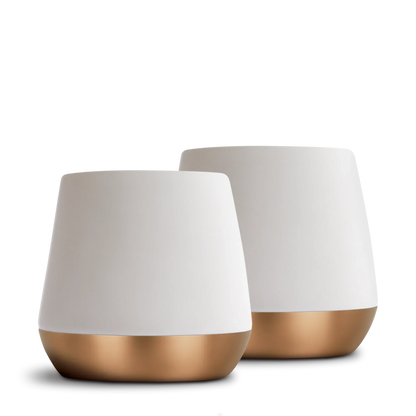Joey Double Wall Ceramic Mugs